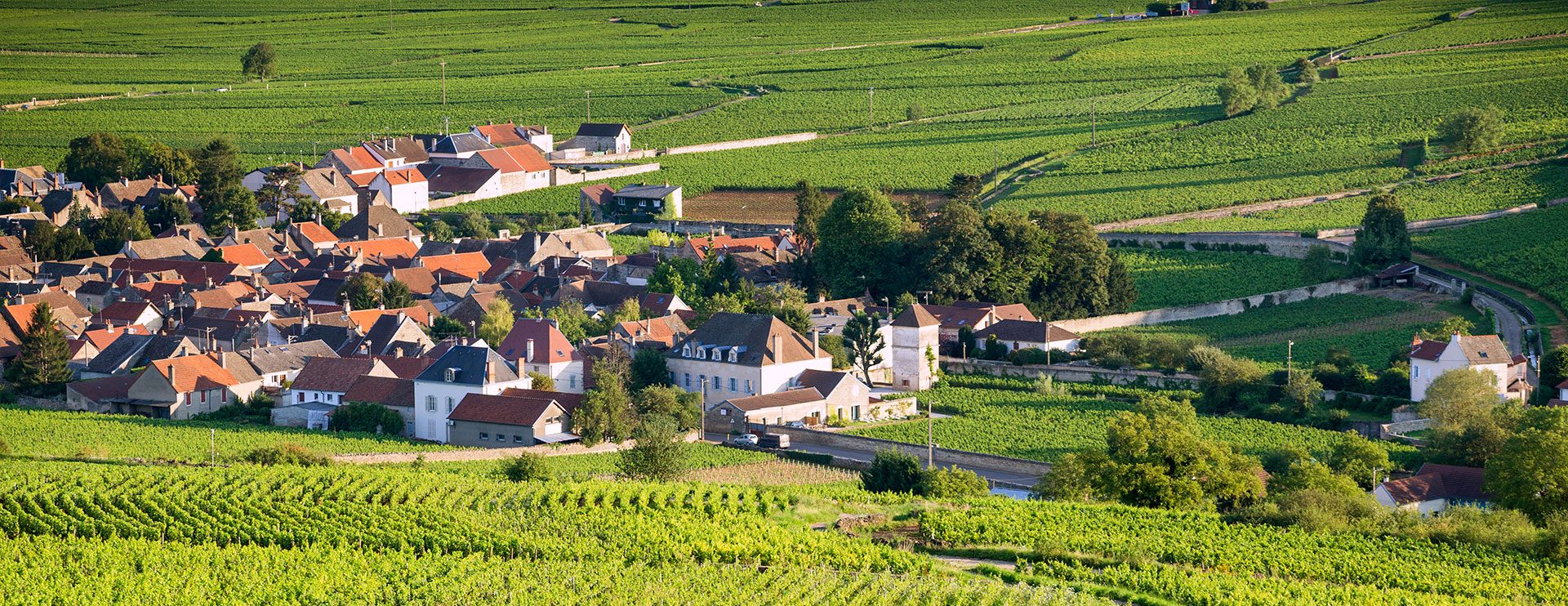 Le village de Pommard